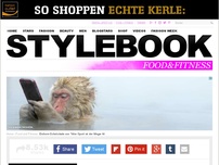 Bild zum Artikel: Mega-Hype um 
Einhorn-Schokolade