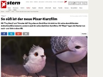 Bild zum Artikel: 'Piper': So süß ist der neue Pixar-Kurzfilm