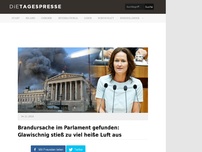 Bild zum Artikel: Brandursache im Parlament gefunden: Glawischnig stieß zu viel heiße Luft aus