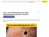 Bild zum Artikel: Nur 1 von 50 Menschen kann diese Nahaufnahmen erkennen. Und du?