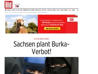 Bild zum Artikel: Gesetzentwurf in Arbeit - Sachsens plant Burka-Verbot!