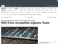Bild zum Artikel: HSV-Fans spotten über eigenes Team