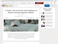 Bild zum Artikel: Warum du Obstbäume im Winter weiß streichen solltest