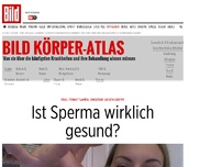 Bild zum Artikel: Samen-Smoothie - Ist Sperma wirklich gesund?