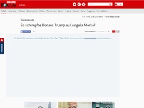 Bild zum Artikel: 'Geisteskrank' - So schimpfte Donald Trump auf Angela Merkel