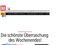 Bild zum Artikel: Pink wieder schwanger - Die schönste Überraschung des Wochenendes