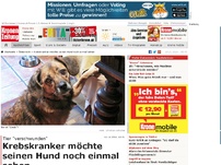 Bild zum Artikel: Krebskranker möchte seinen Hund noch einmal sehen