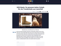 Bild zum Artikel: UGG-Boots: So grausam leiden Schafe für die Trendschuhe aus Lammfell