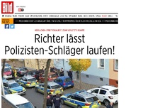Bild zum Artikel: Krawall wegen Knöllchen - Richter lässt Polizisten-Schläger laufen!