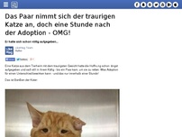 Bild zum Artikel: Das Paar nimmt sich der traurigen Katze an, doch eine Stunde nach der Adoption - OMG!