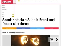 Bild zum Artikel: Feuerhölle in der Arena: Spanier stecken Stier in Brand und freuen sich daran