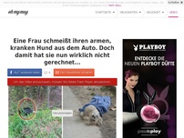 Bild zum Artikel: Eine Frau schmeißt ihren armen, kranken Hund aus dem Auto. Doch damit hat sie nun wirklich nicht gerechnet...