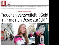 Bild zum Artikel: Frauchen verzweifelt - „Gebt mir meinen Bosie zurück!“