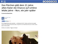 Bild zum Artikel: Das Pärchen gibt dem 21 Jahre alten Kater die Chance auf schöne letzte Jahre – Nun, ein Jahr später