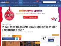 Bild zum Artikel: Test: In welches Hogwarts-Haus schickt dich der Sprechende Hut?