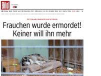 Bild zum Artikel: Trauriger Hund - Frauchen wurde ermordet! Keiner will ihn mehr