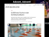 Bild zum Artikel: Japan: 5.000 tote Fische in der Schlittschuhbahn