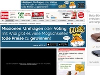 Bild zum Artikel: Kostet Anti-Hofer-Demo Van der Bellen Wahlsieg?