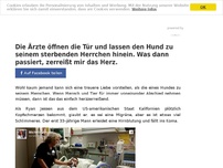 Bild zum Artikel: Tierfreund