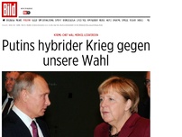 Bild zum Artikel: Putins Angriff auf die Wahl - Darum will Putin Kanzlerin Merkel weghaben