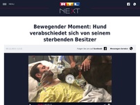 Bild zum Artikel: Bewegender Moment: Hund verabschiedet sich von seinem sterbenden Besitzer