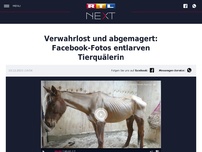 Bild zum Artikel: Verwahrlost und abgemagert: Facebook-Fotos entlarven Tierquälerin