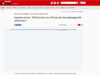 Bild zum Artikel: Sehnen sich die Wähler nach einfachen Wahrheiten? - Experte sicher: 'AfD könnte die SPD bei der Bundestagswahl überholen'