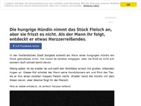 Bild zum Artikel: Die hungrige Hündin nimmt das Stück Fleisch an, aber sie frisst es nicht. Als der Mann ihr folgt, entdeckt er etwas Herzzerreißendes.