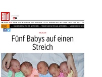 Bild zum Artikel: Halleluja! - Fünf Babys auf einen Streich