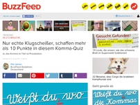 Bild zum Artikel: Nur echte Klugscheißer, schaffen mehr als 10 Punkte in diesem Komma-Quiz