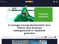 Bild zum Artikel: Er erlangte traurige Berühmtheit: Orca Tilikum nach 30 Jahren Gefangenschaft in 'SeaWorld' gestorben