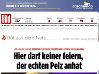 Bild zum Artikel: Keine Party für Pelzträger - In diesem Club darf keiner feiern, der echten Pelz anhat