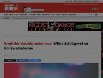 Bild zum Artikel: Ermittler-Azubis rasten aus: Wilde Schlägerei an Polizeiakademie