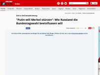 Bild zum Artikel: Ziel ist die Destabilisierung - 'Putin will Merkel stürzen': Wie Russland die Bundestagswahl beeinflussen will