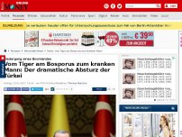 Bild zum Artikel: Niedergang eines Boomlandes - Vom Tiger am Bosporus zum kranken Mann: Der dramatische Absturz der Türkei