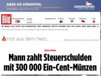 Bild zum Artikel: Aus Protest - Mann zahlt Schulden mit Ein-Cent-Münzen