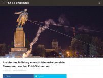Bild zum Artikel: Arabischer Frühling erreicht Niederösterreich: Einwohner werfen Pröll-Statuen um