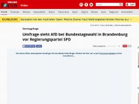 Bild zum Artikel: Sonntagsfrage  - Umfrage sieht AfD bei Bundestagswahl in Brandenburg vor Regierungspartei SPD
