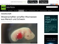 Bild zum Artikel: Wissenschaftler schaffen Mischwesen aus Mensch und Schwein