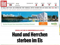 Bild zum Artikel: Drama auf Lichtenauer See - Hund und Herrchen sterben im Eis