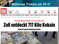 Bild zum Artikel: Mega-Fund im Hafen - Zoll knackt Koks-Rekord