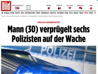 Bild zum Artikel: Völlig ausgerastet - Mann (30) verprügelt sechs Polizisten