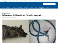 Bild zum Artikel: Tierquäler hängt Hund an Baum auf