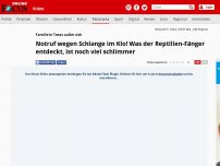 Bild zum Artikel: Familie in Texas außer sich - Notruf wegen Schlange im Klo! Was der Reptilien-Fänger entdeckt, ist noch viel schlimmer