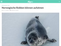 Bild zum Artikel: Norwegische Robben können aufatmen