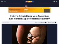 Bild zum Artikel: Embryo-Entwicklung vom Spermium zum Herzschlag: So entsteht ein Baby!