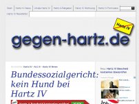 Bild zum Artikel: Bundessozialgericht: kein Hund bei Hartz IV