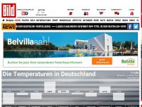 Bild zum Artikel: Schluss mit Dauerfrost - Felicitas bringt den Frühling mit!