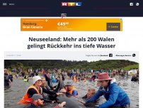 Bild zum Artikel: Neuseeland: Mehr als 200 Walen gelingt Rückkehr ins tiefe Wasser