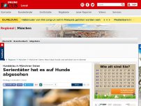 Bild zum Artikel: Hundeklau in Münchner Osten - Serientäter hat es auf Hunde abgesehen